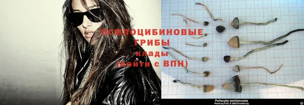 соль ск Нефтегорск