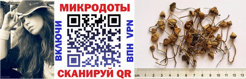 Псилоцибиновые грибы мицелий  Купить где  Октябрьский 